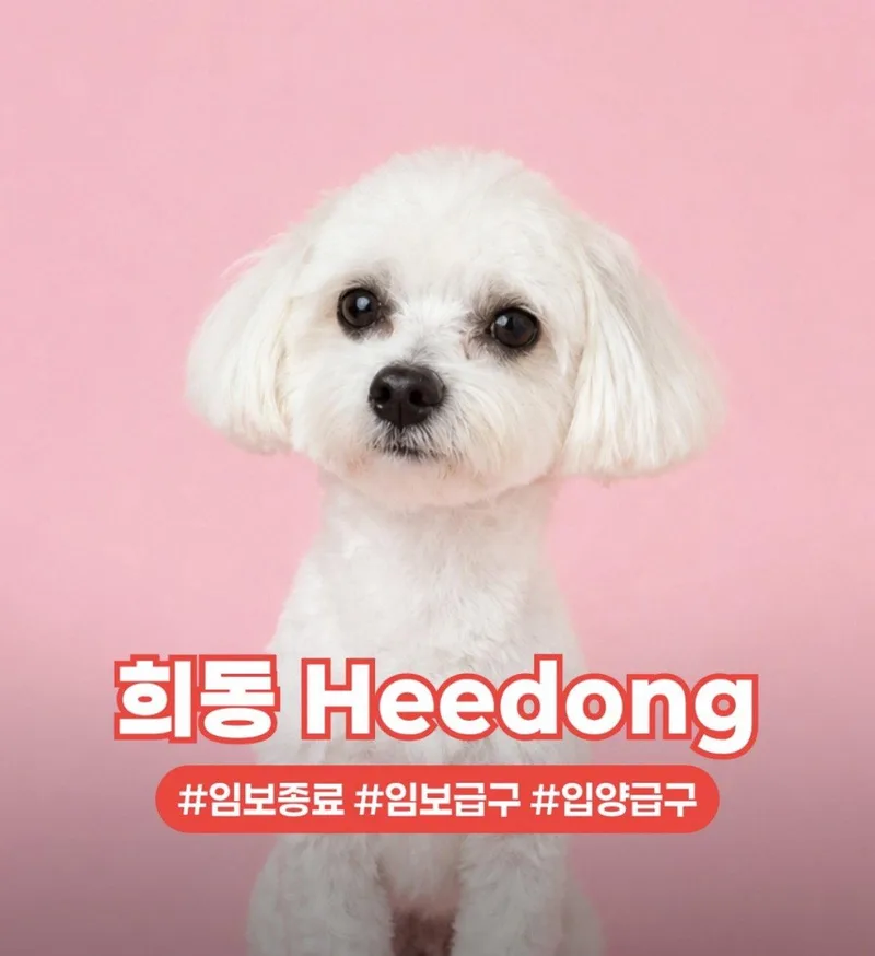 Heemong