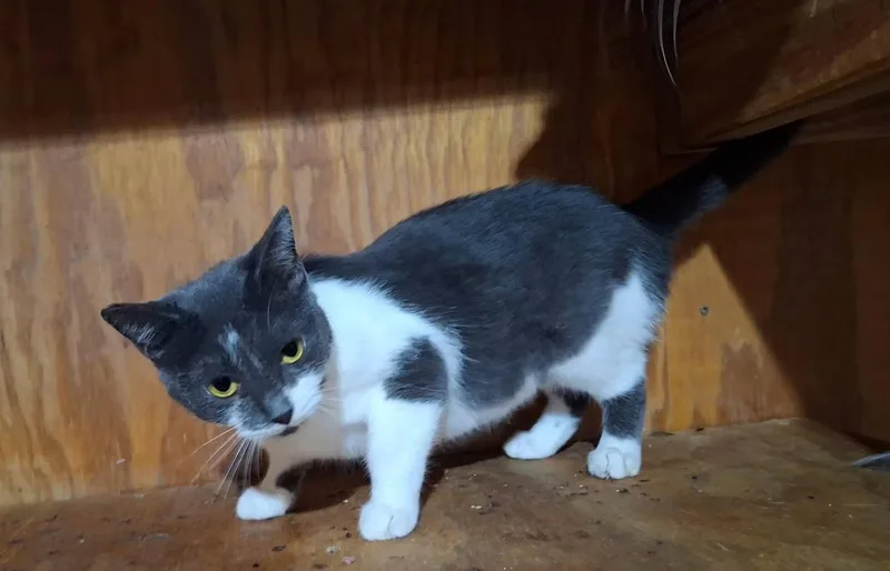 Grace thumbnail 2