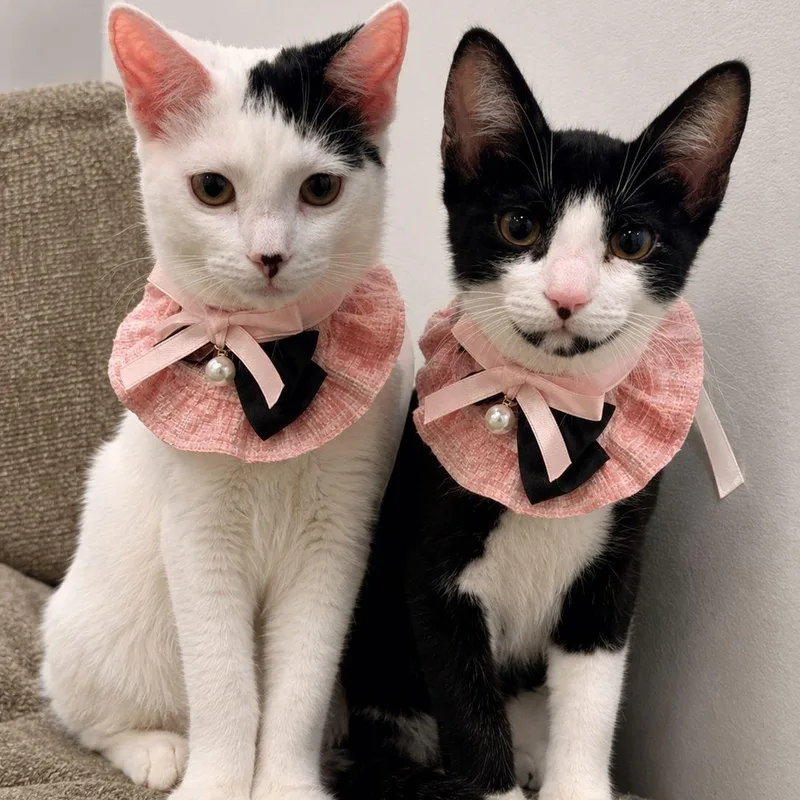 Luna and Samantha thumbnail 2