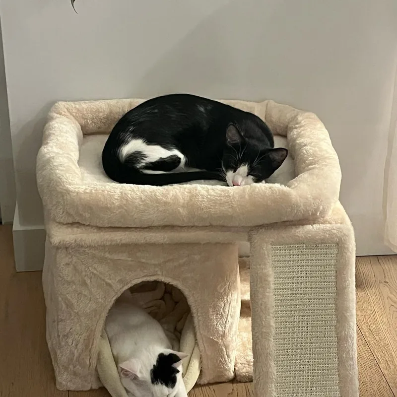 Luna and Samantha thumbnail 4