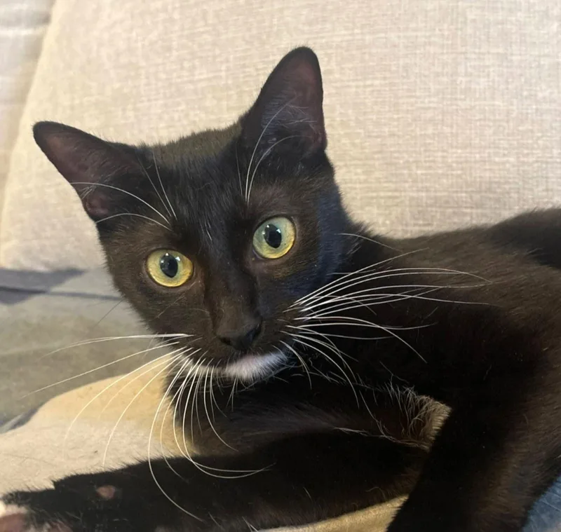 Cassie Ittakesavillagemomma thumbnail 3