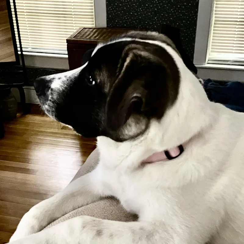 Lexi  in New thumbnail 2