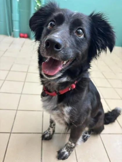 Princess thumbnail 2