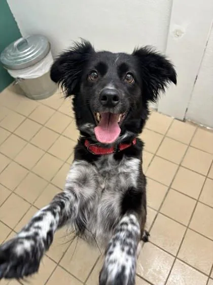 Princess thumbnail 3