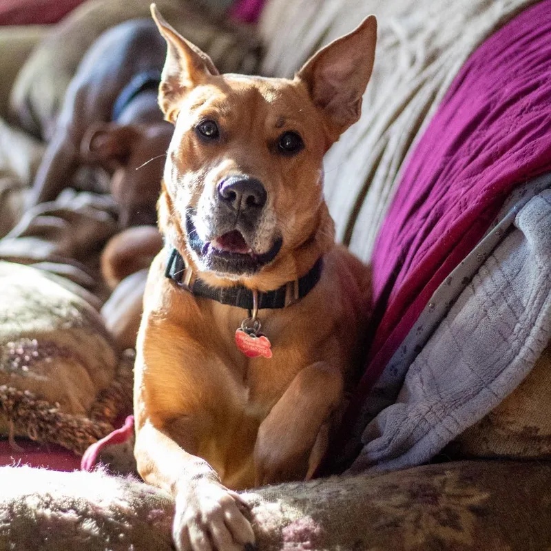 Bobby Redford thumbnail 2