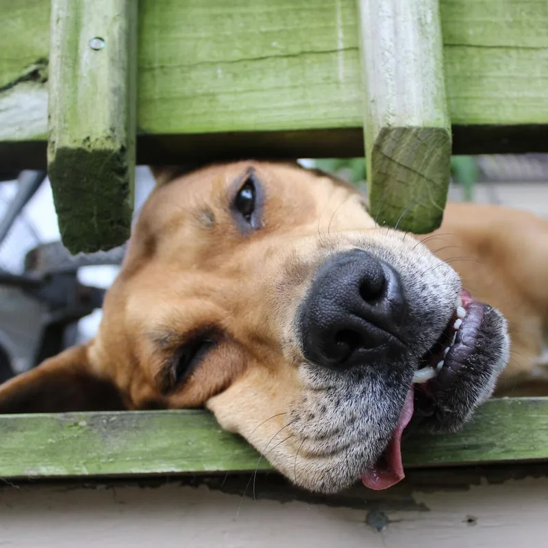 Bobby Redford thumbnail 4