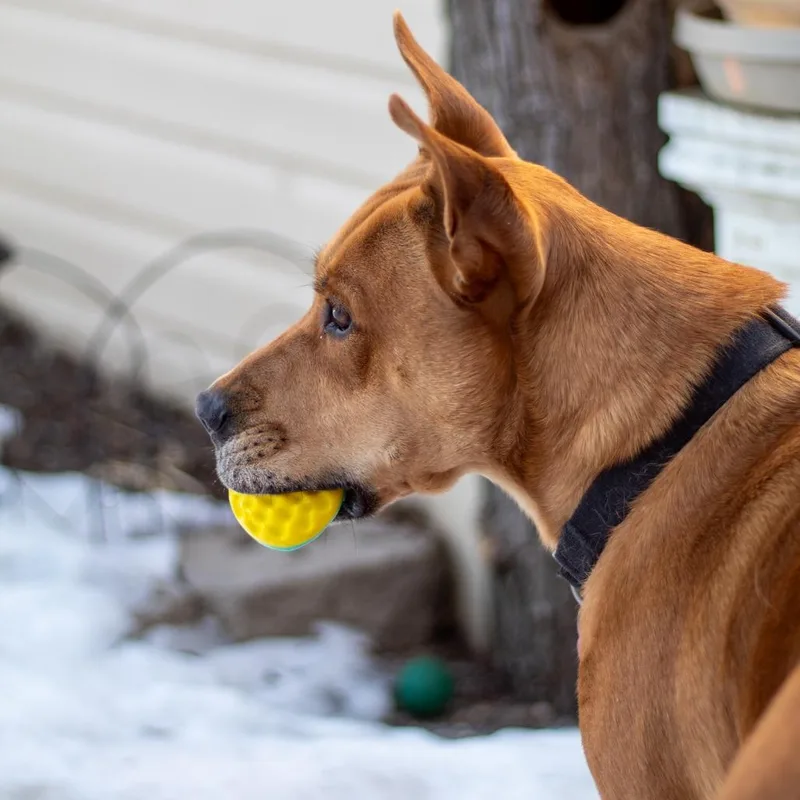 Bobby Redford thumbnail 5