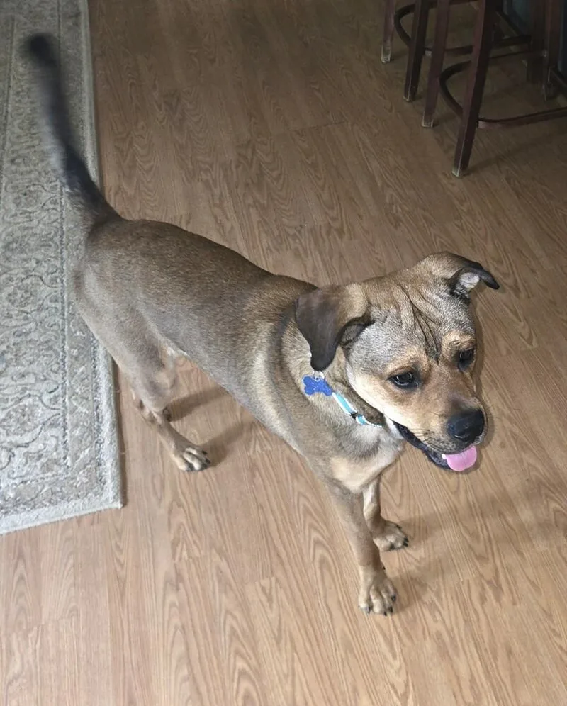 Winston