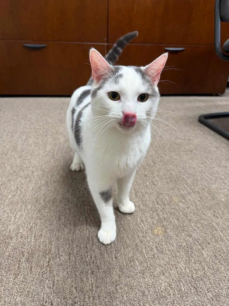 Karma Silo thumbnail 2