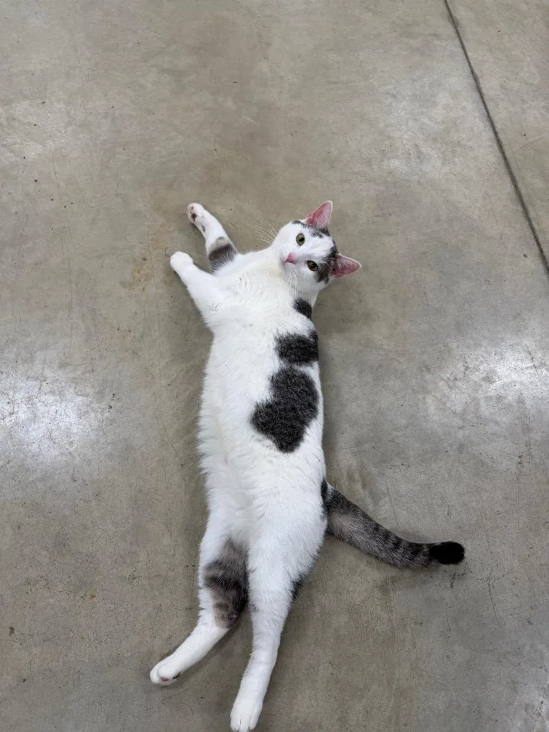 Karma Silo thumbnail 3