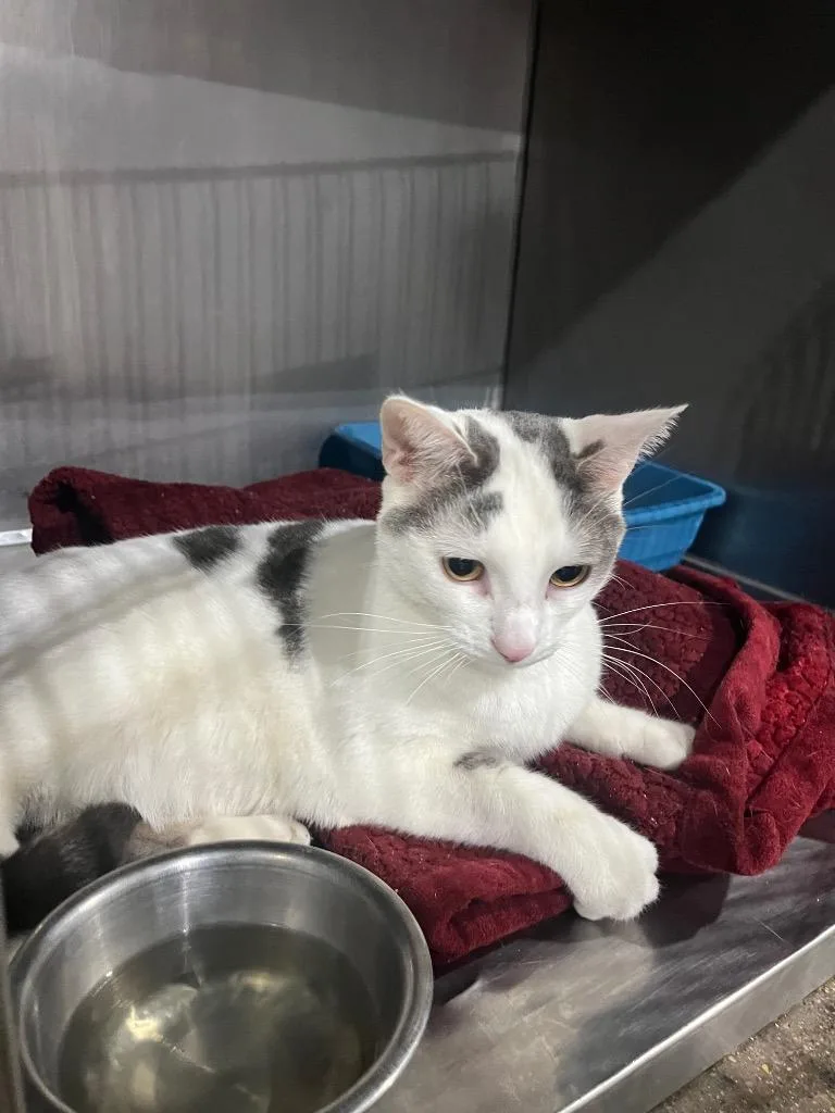 Karma Silo thumbnail 4