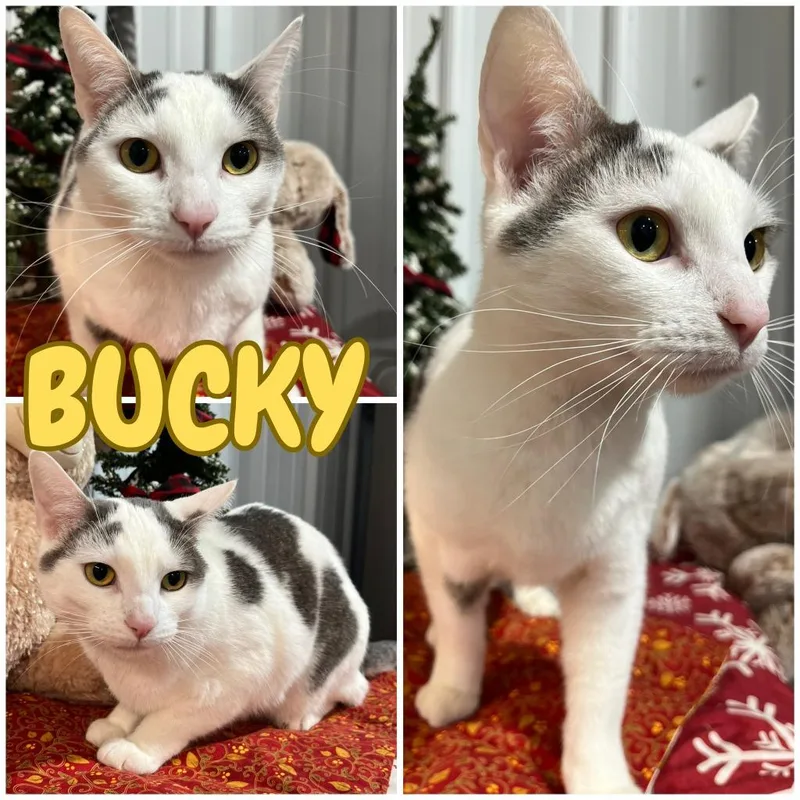 Karma Silo thumbnail 6