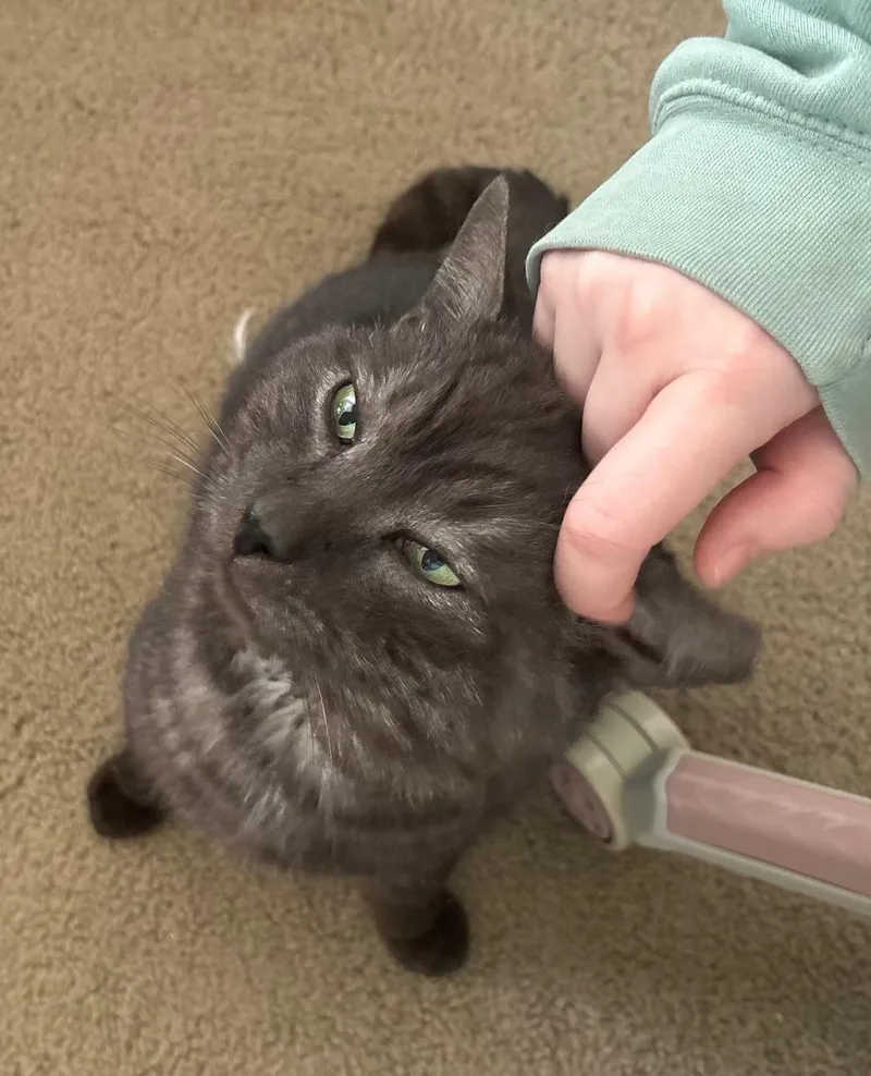 Blade thumbnail 3