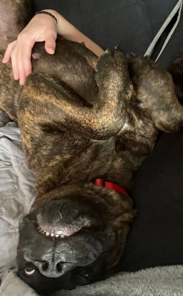 Betty thumbnail 2