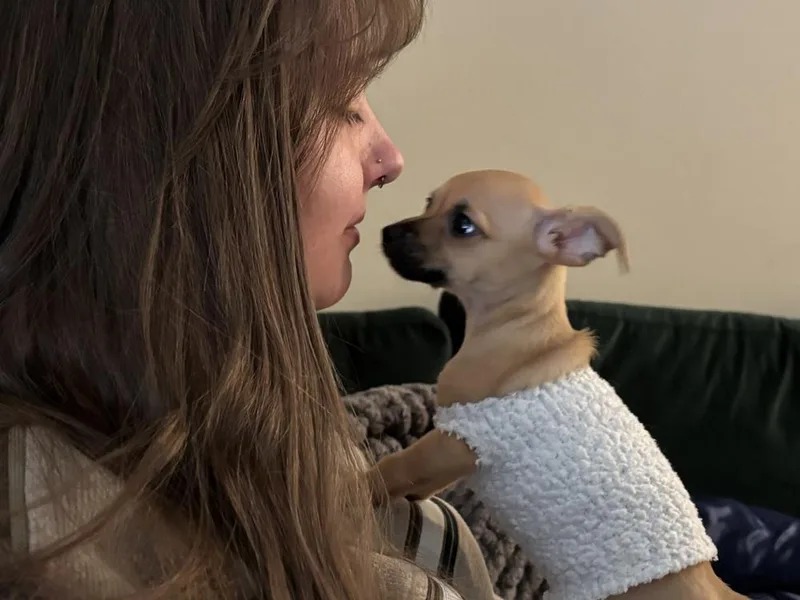 Zayla thumbnail 3