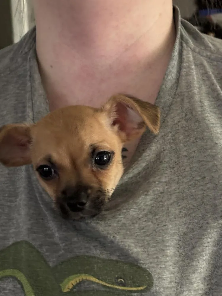 Zayla thumbnail 5