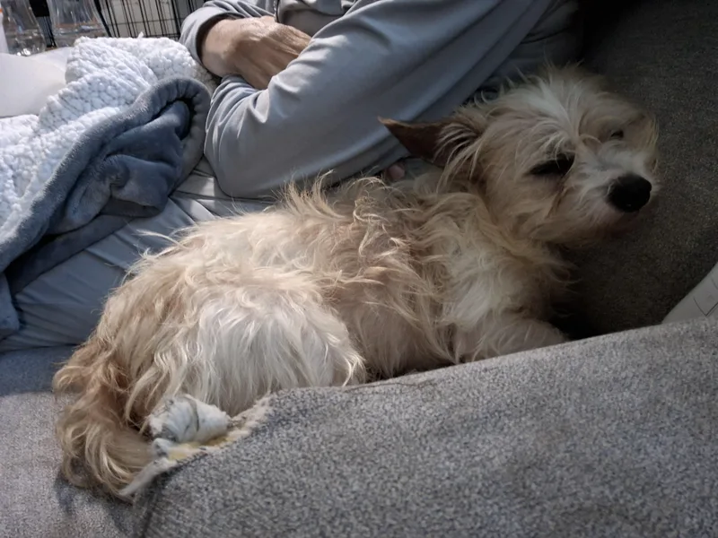 Alvin thumbnail 2
