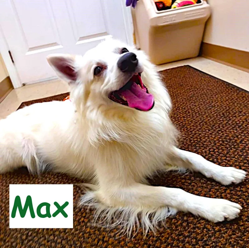 Max thumbnail 2