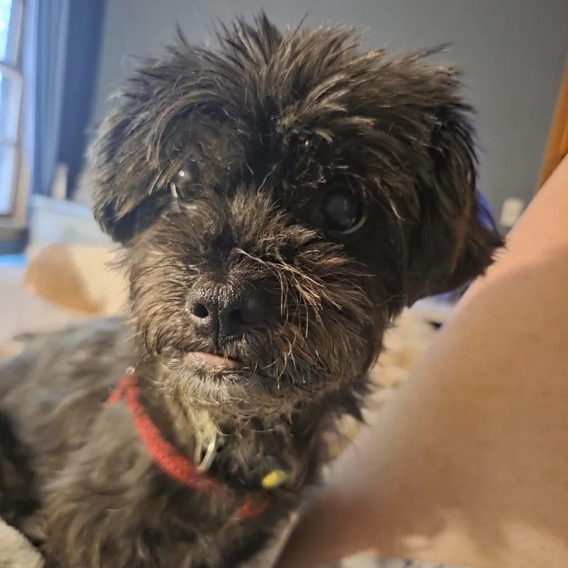 Riggy Moe D thumbnail 3