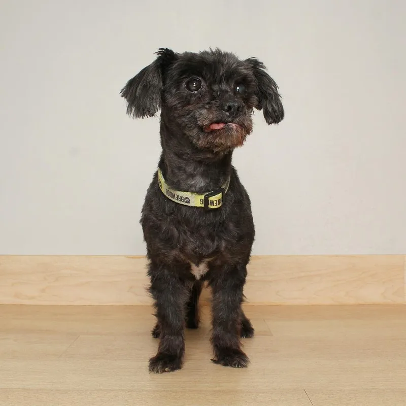 Riggy Moe D thumbnail 5