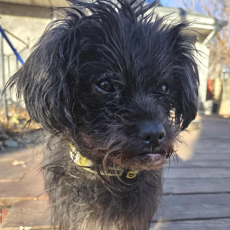 Riggy Moe D thumbnail 6