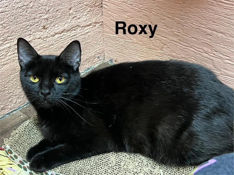 Roxy