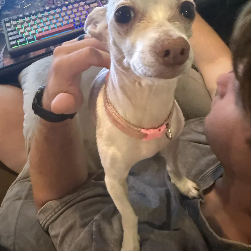 Little Miss thumbnail 4