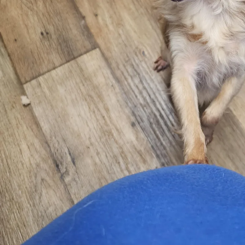 Sweet Pea thumbnail 2