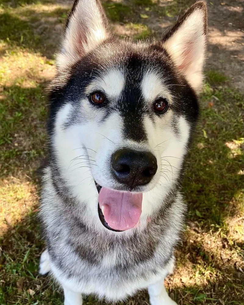 Roscoe