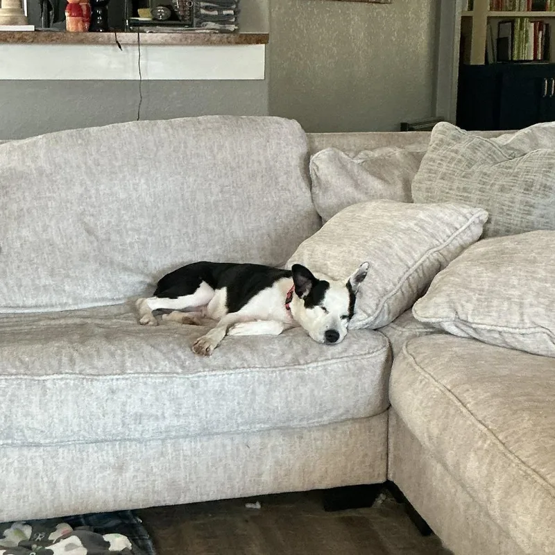 Honeybunch thumbnail 2