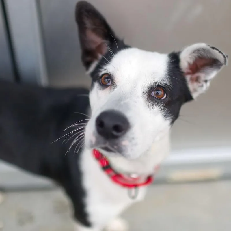 Honeybunch thumbnail 3