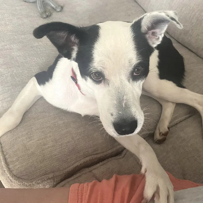 Honeybunch thumbnail 4