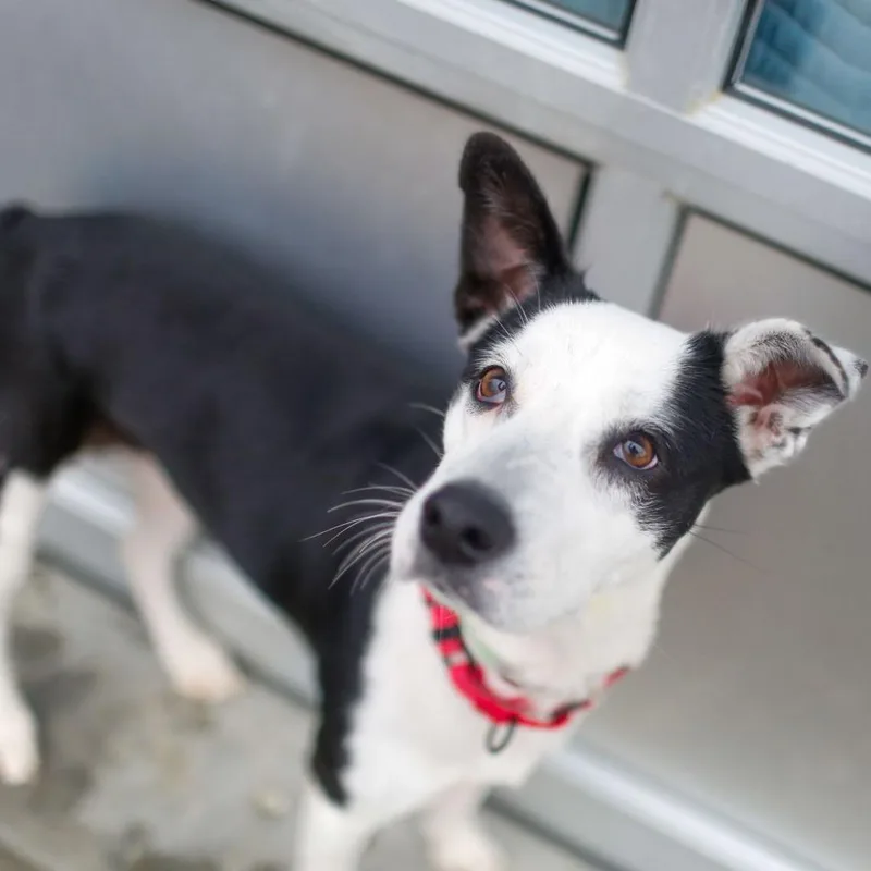 Honeybunch thumbnail 6