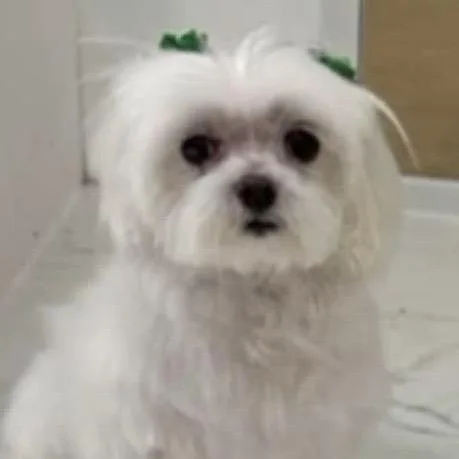 Khaleesi thumbnail 3