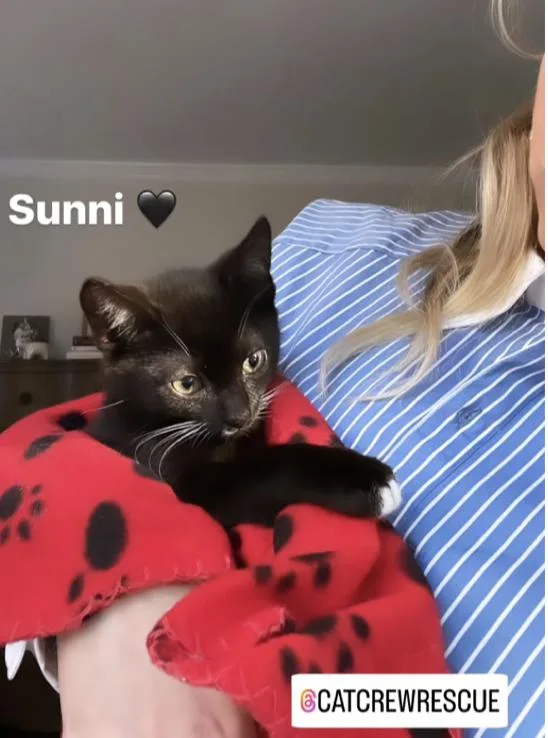 Sunni thumbnail 3