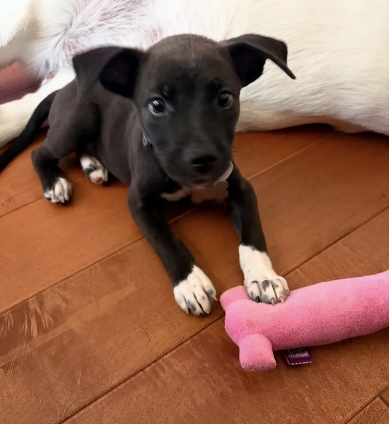 Baby Lulu thumbnail 2
