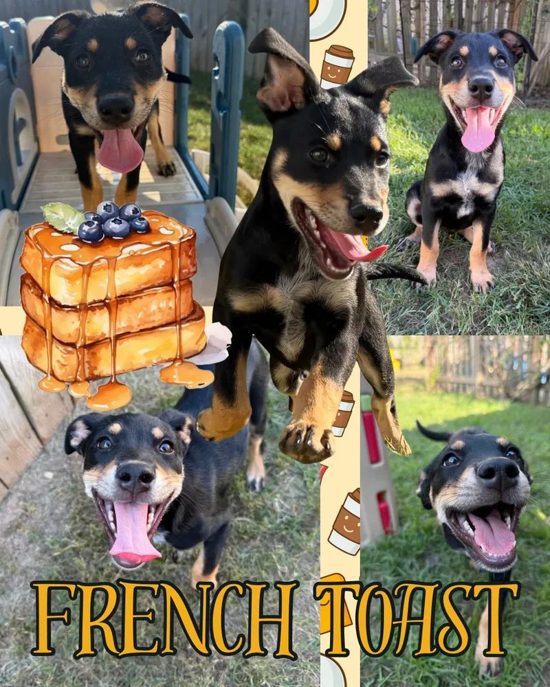 French Toast thumbnail 6