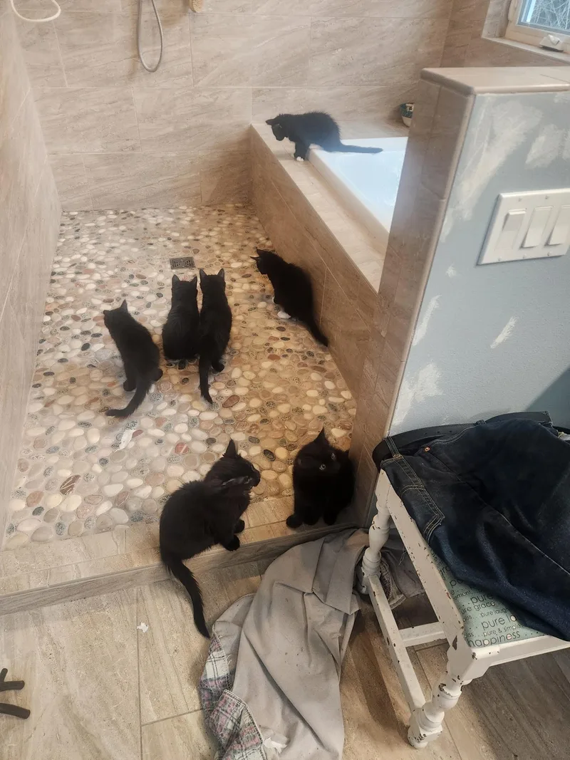 Gertiekm thumbnail 3