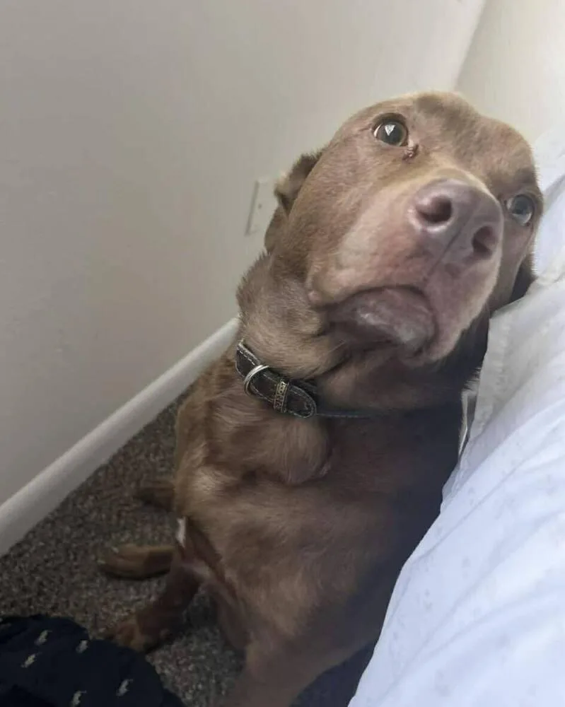 Jayson "jaxon" thumbnail 4