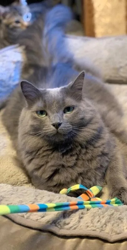 Mr. Wilson thumbnail 2