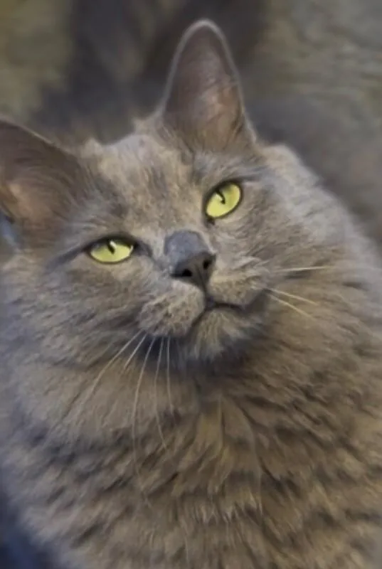 Mr. Wilson thumbnail 3