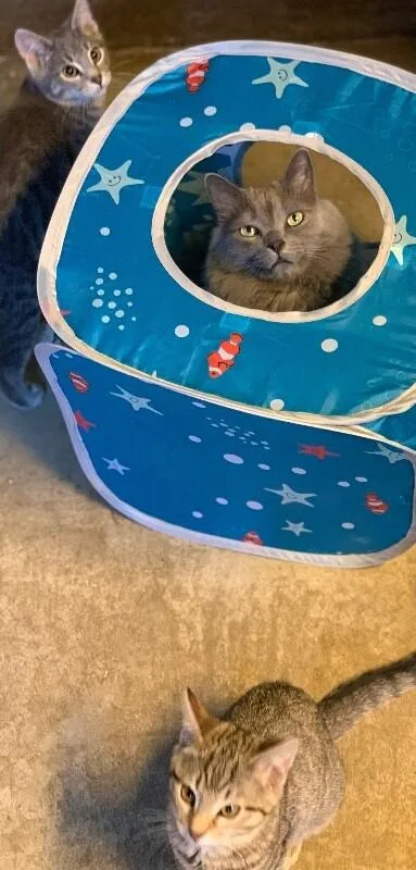 Mr. Wilson thumbnail 4