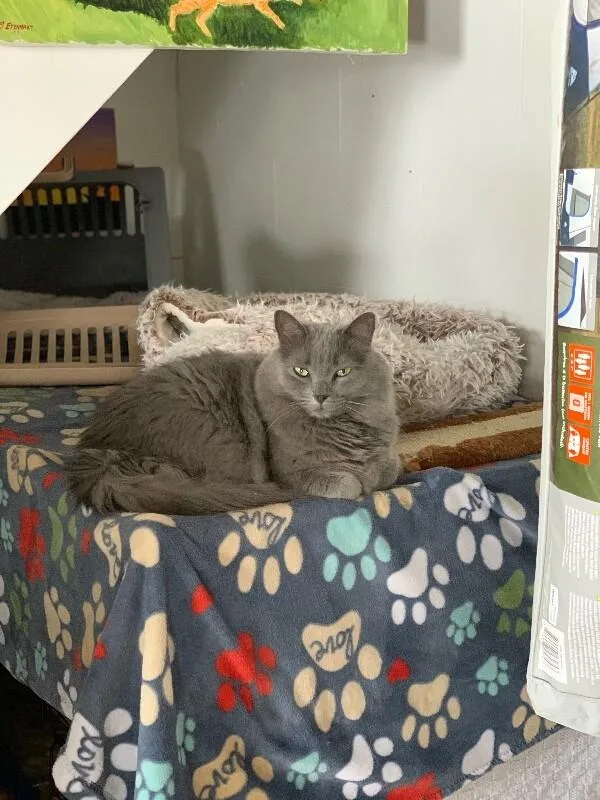 Mr. Wilson thumbnail 5