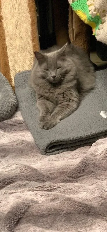 Mr. Wilson thumbnail 6