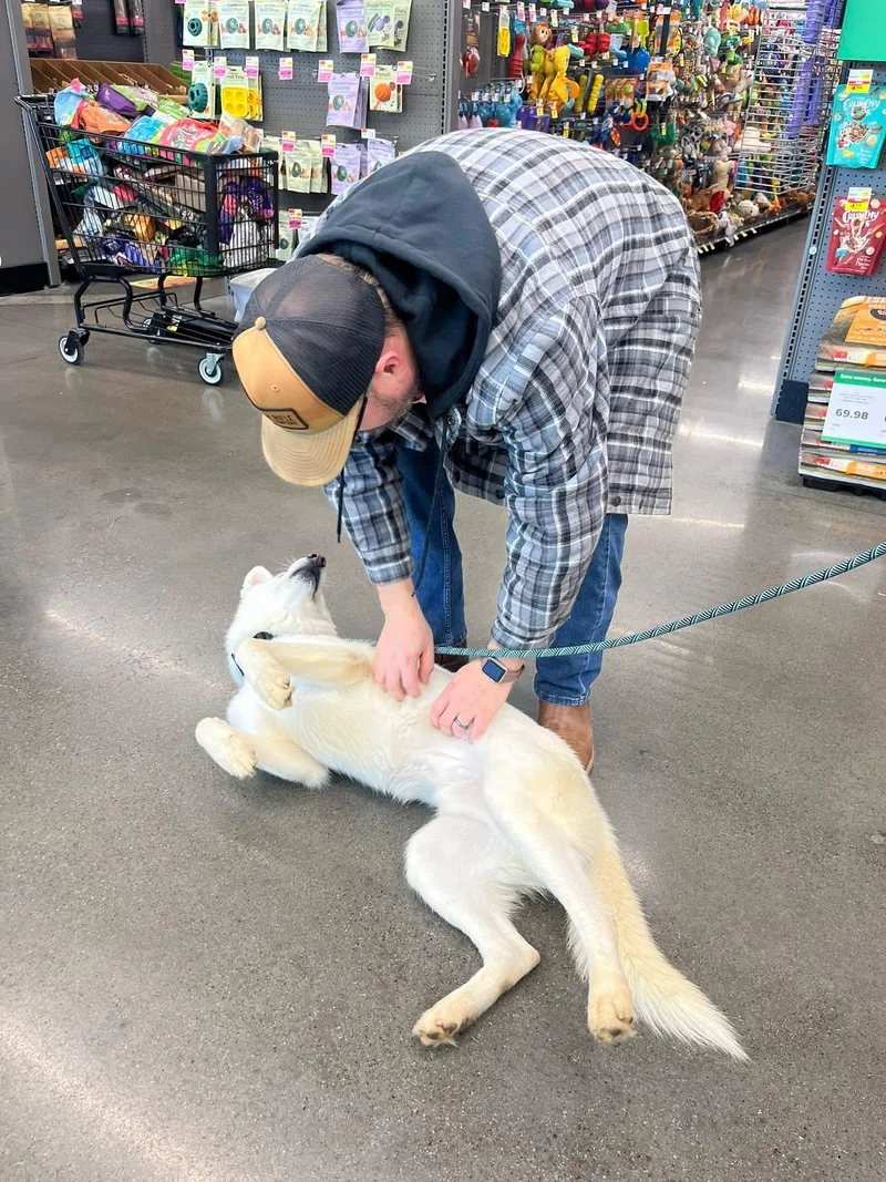 Napoleon thumbnail 2