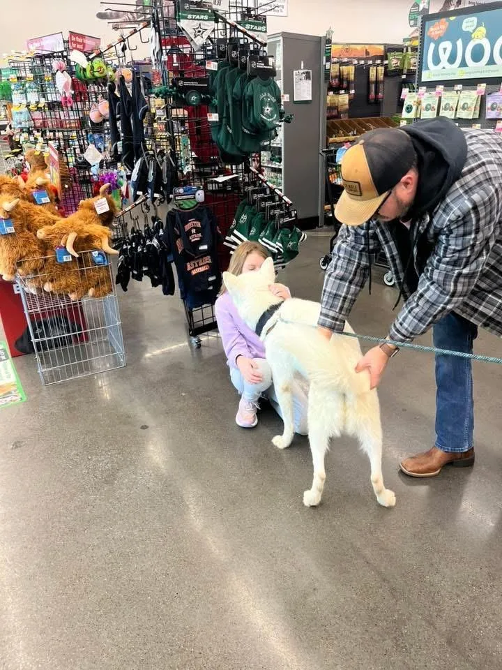 Napoleon thumbnail 4