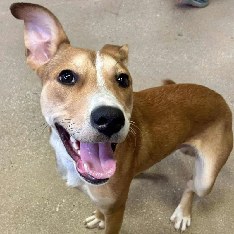 Johnny Knoxville thumbnail 2