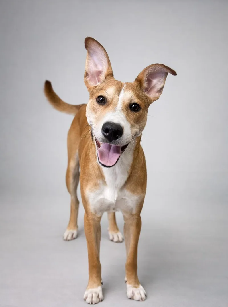 Johnny Knoxville thumbnail 3