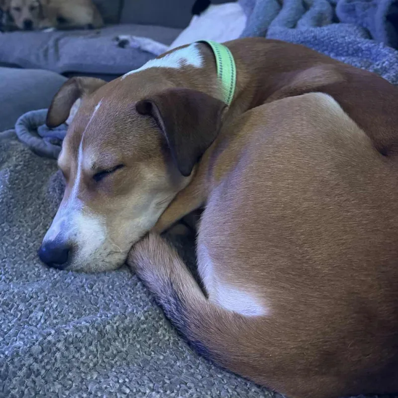 Johnny Knoxville thumbnail 4