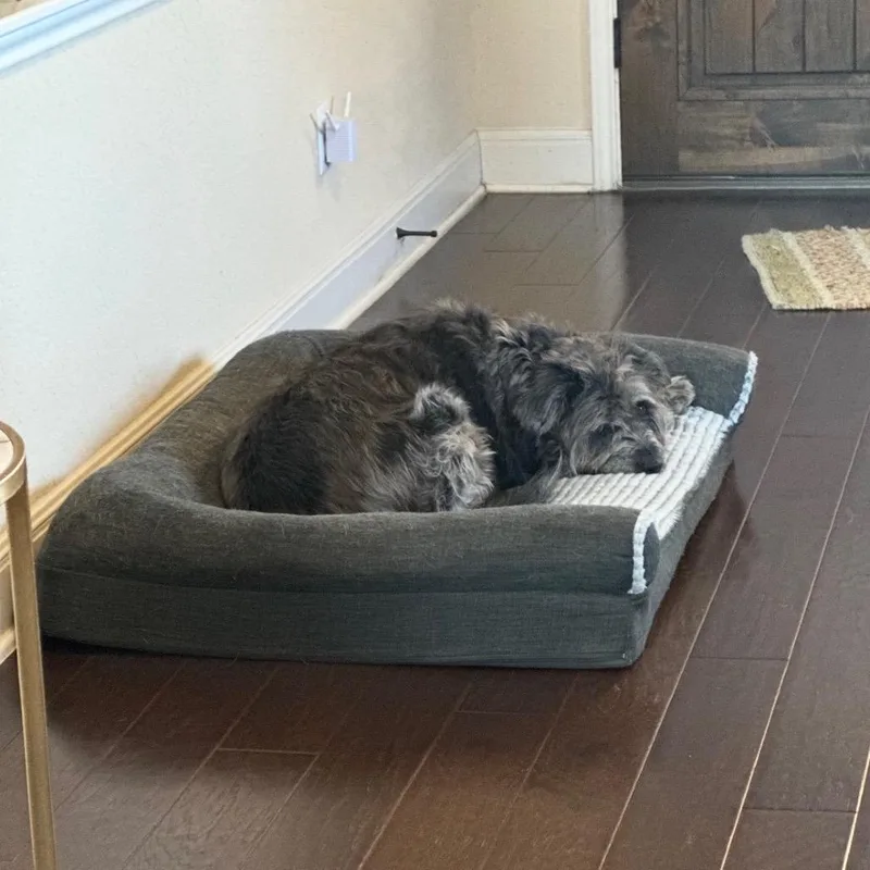 Pepper thumbnail 5